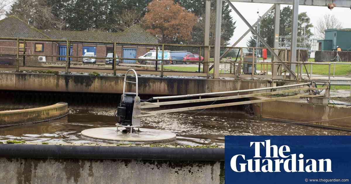 Millions of tonnes of toxic sewage sludge spread on UK farmland every year