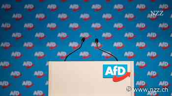 Die AfD blinkt in die Mitte. Wie glaubhaft ist das?