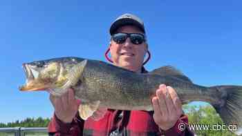Reeling in the entries for CBC Thunder Bay's 2025 Show Us Your Fish Contest