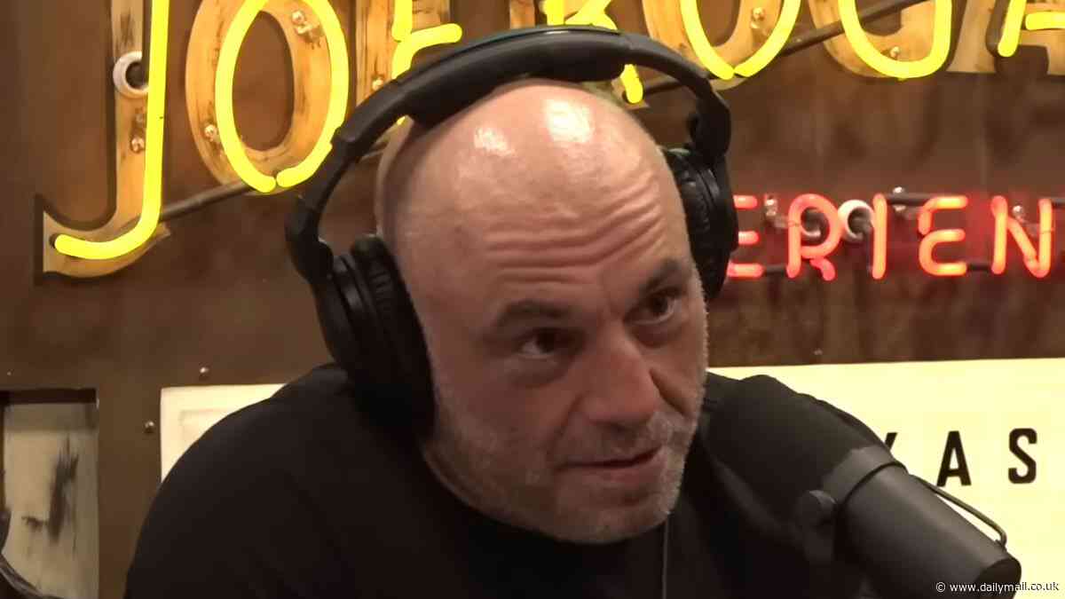 Joe Rogan flips the God debate on its head with shocking theory that 'we created him'