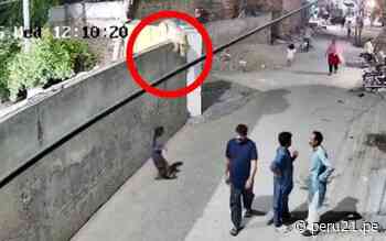 León ataca a mujer y sus pequeños hijos en plena calle