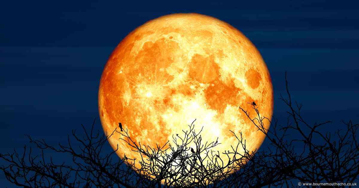 How to see July's full moon as 'orange' Buck Moon joins 3 planets in the sky