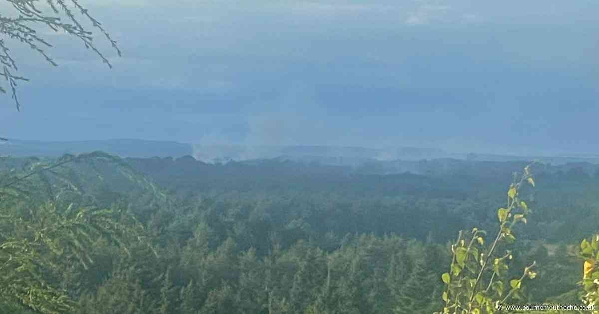'Deliberate' heath fires near Bournemouth Airport