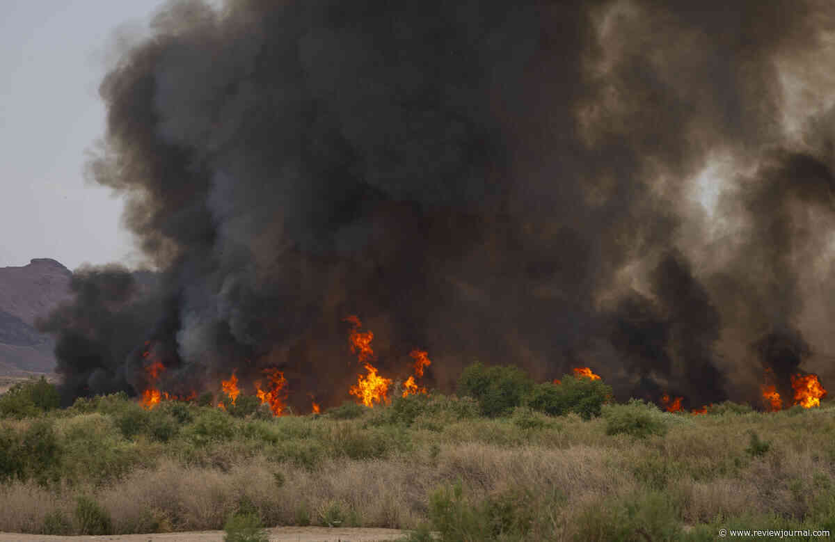 Wetlands Park likely to make recovery from recent fires