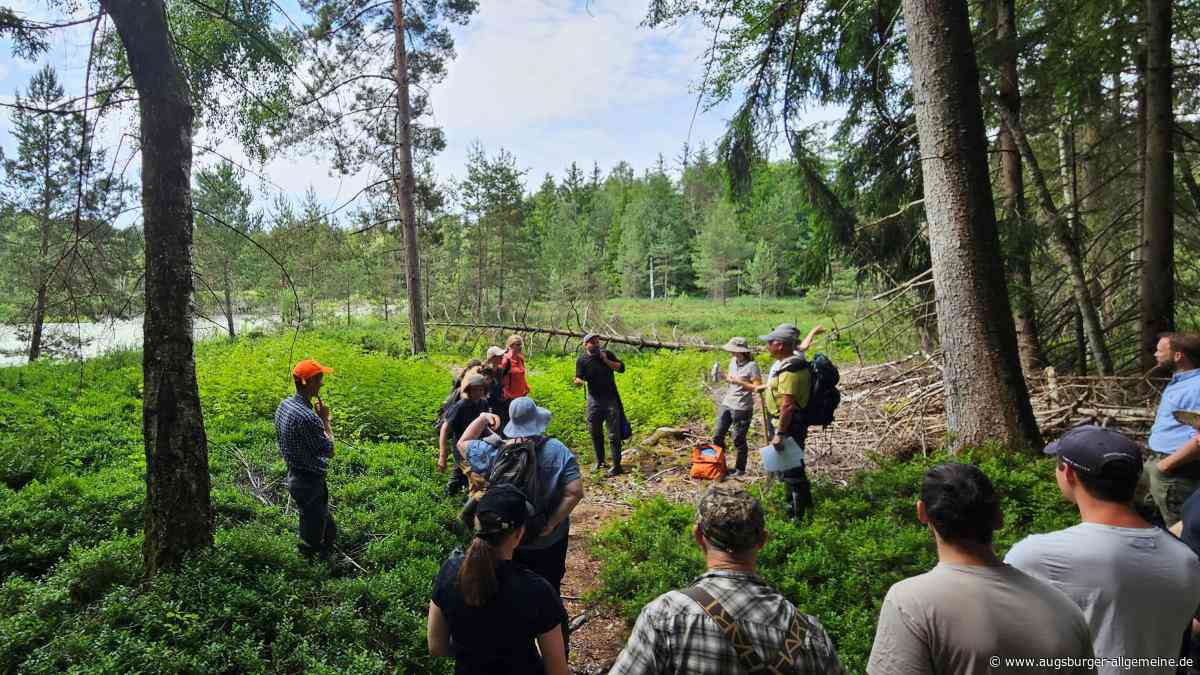 Termin im Moor: So bleibt Regenwasser länger im Wald