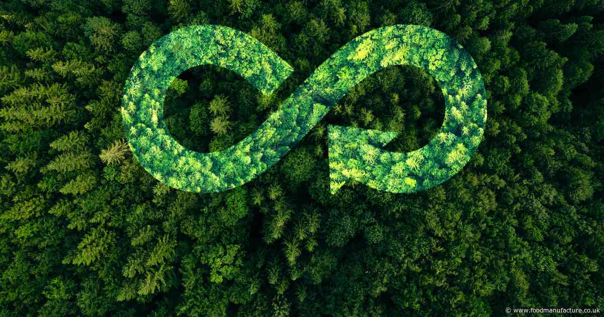Harnessing blockchain to solve supply chain and circular economy challenges