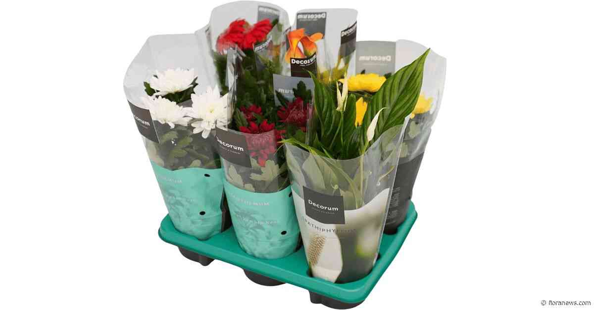 Decorum en Mixed by Roots bundelen krachten voor breder gemixt plantenaanbod
