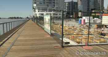 After vandals cause $458K in damage, New West mulls plan to protect Pier Park