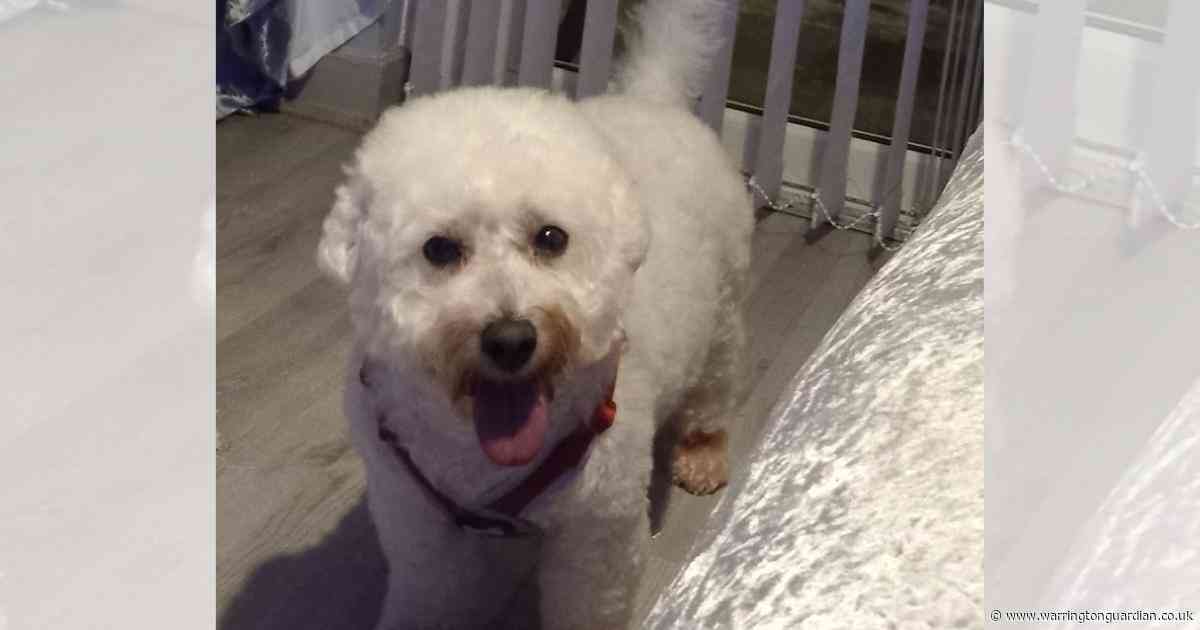 Dog seriously injured in ‘horrific’ attack by another dog in Warrington park