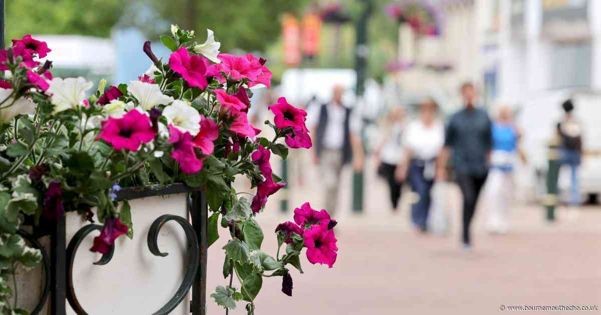 Town centre bursts with colour as summer flower displays return