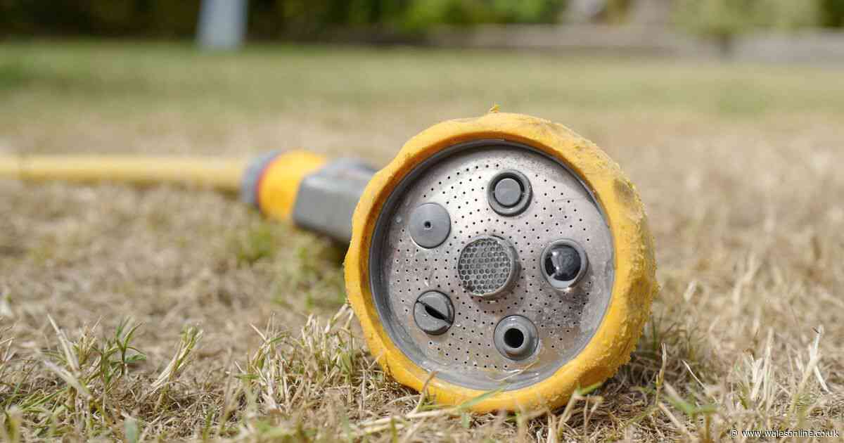UK's first hosepipe ban of summer coming into force on Friday
