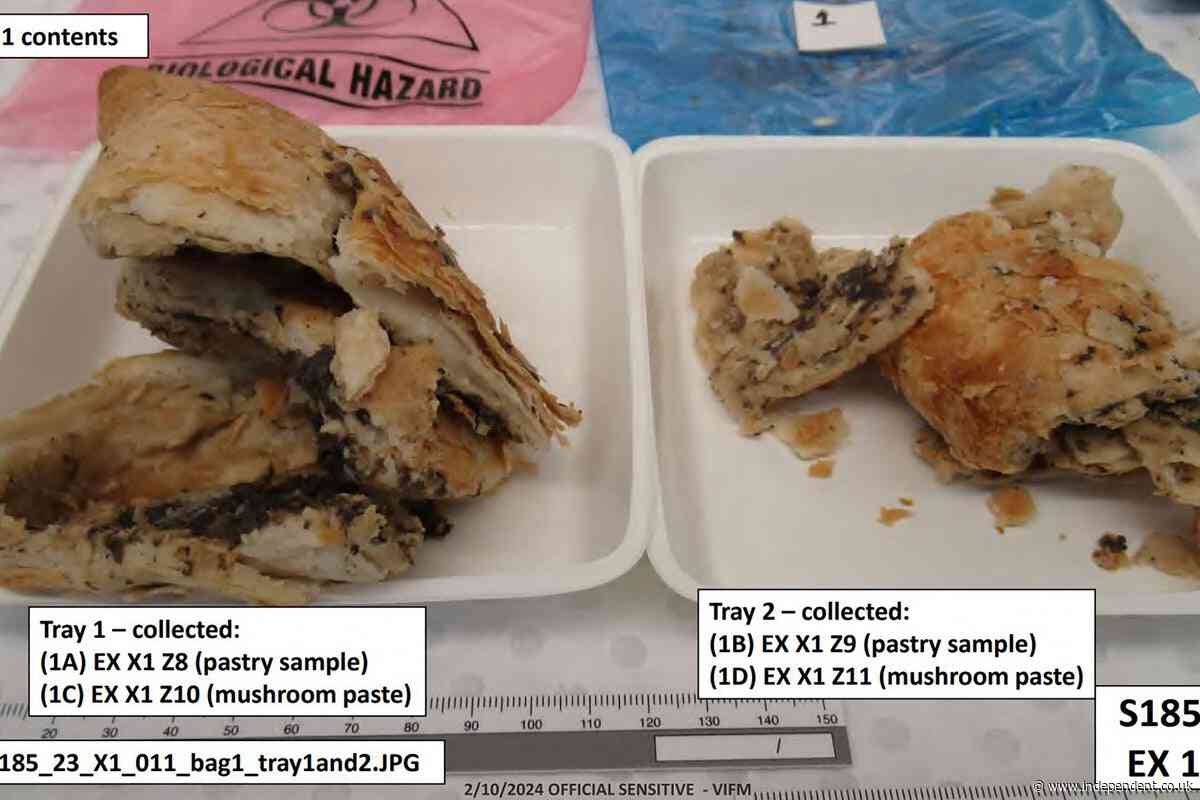 First photos of deadly beef wellington meal cooked by Erin Patterson released