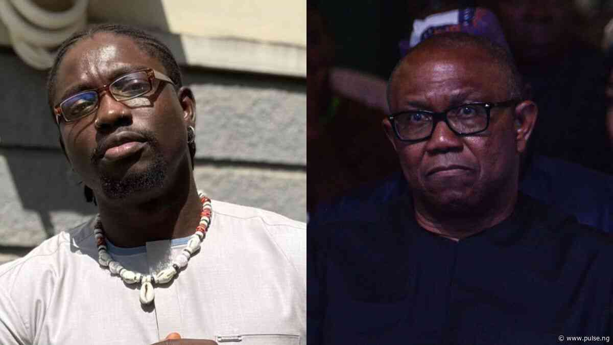 ‘VeryDarkMan has more empathy’ - Presidency lambasts Peter Obi
