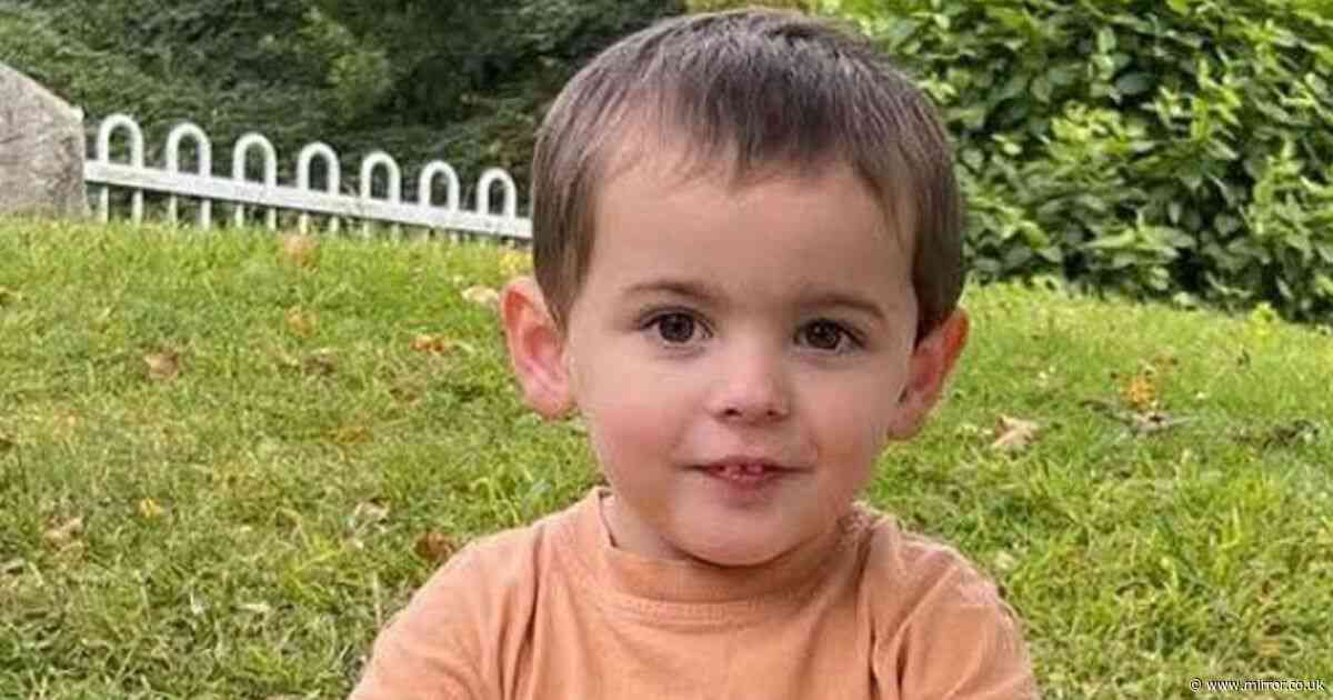 Boy, 4, killed when gravestone fell on him in freak cemetery accident is pictured