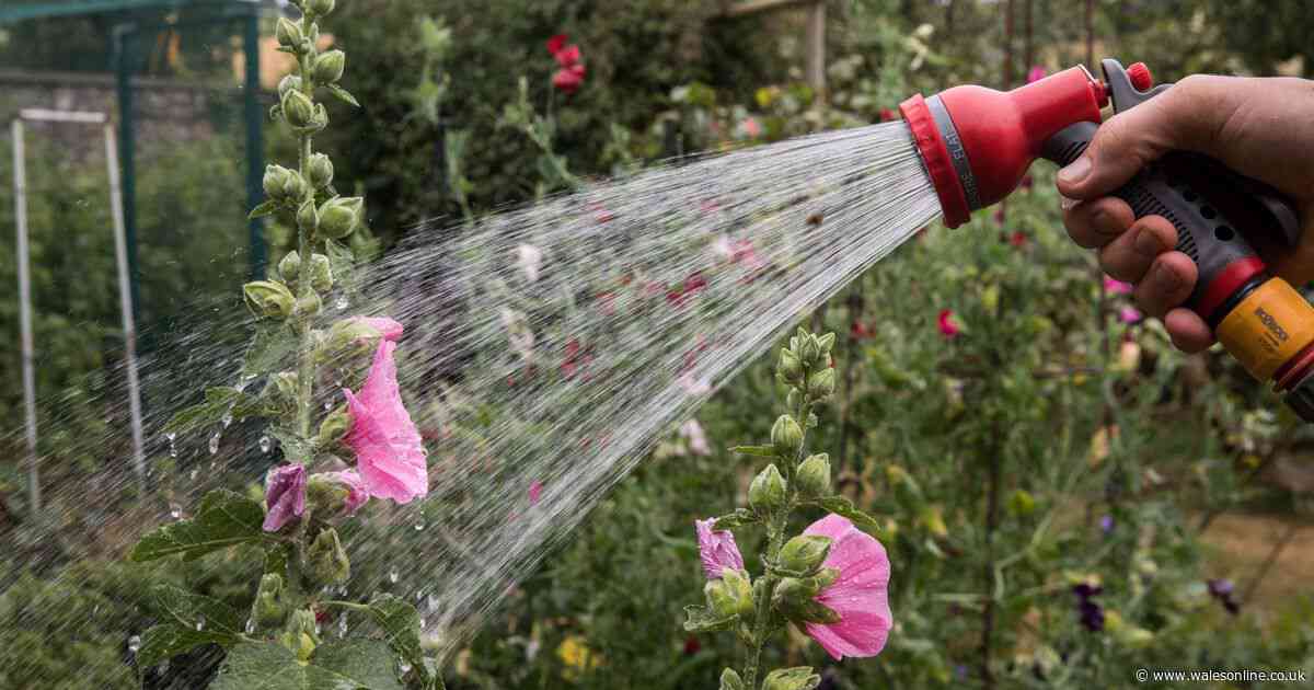 First UK hosepipe ban of 2025 will come into force this weekend
