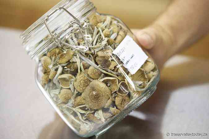 Advocacy group says court battle over psilocybin-assisted therapy is a turning point