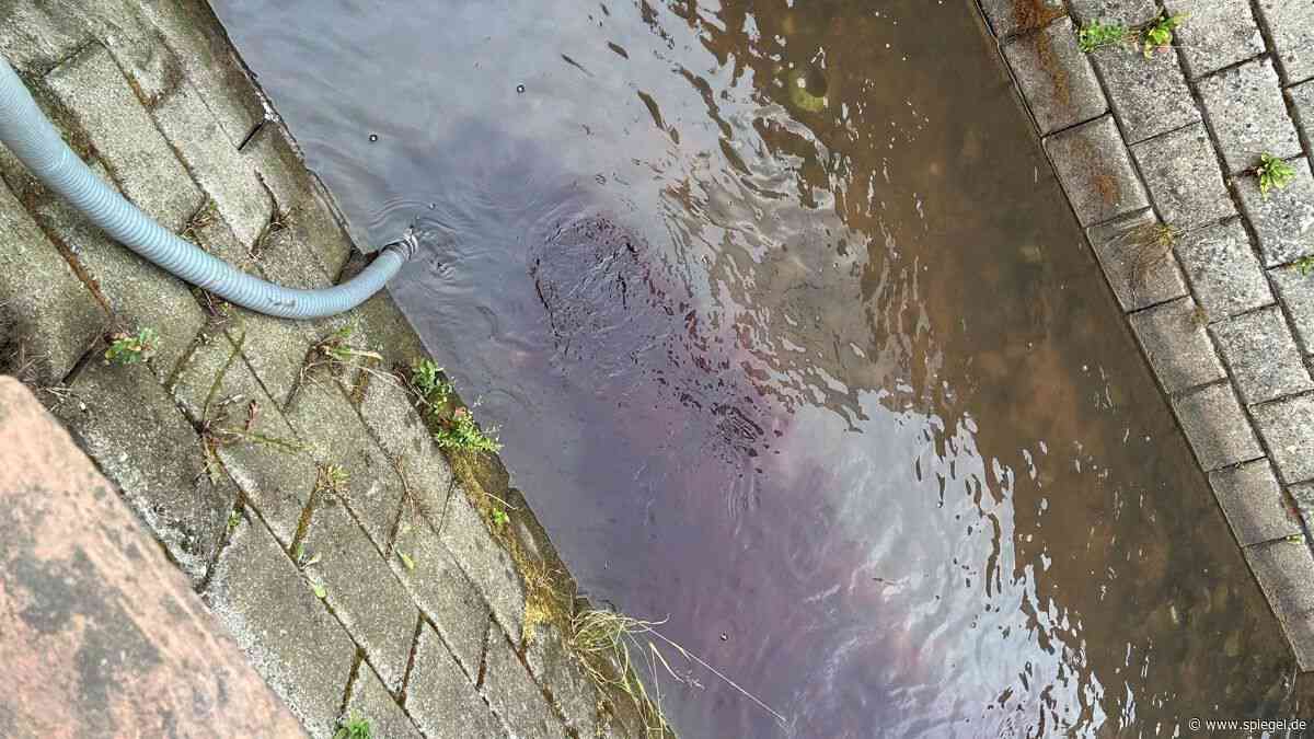Rheinland-Pfalz: Rotwein aus 30.000-Liter-Tank in Bach abgeleitet