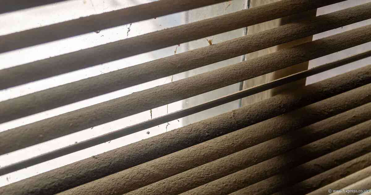 Skirting boards and blind will be free of stubborn dust if cleaned with 1 natural item