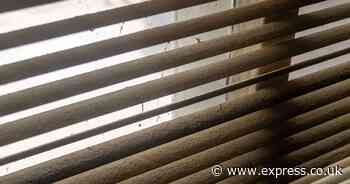 Skirting boards and blind will be free of stubborn dust if cleaned with 1 natural item