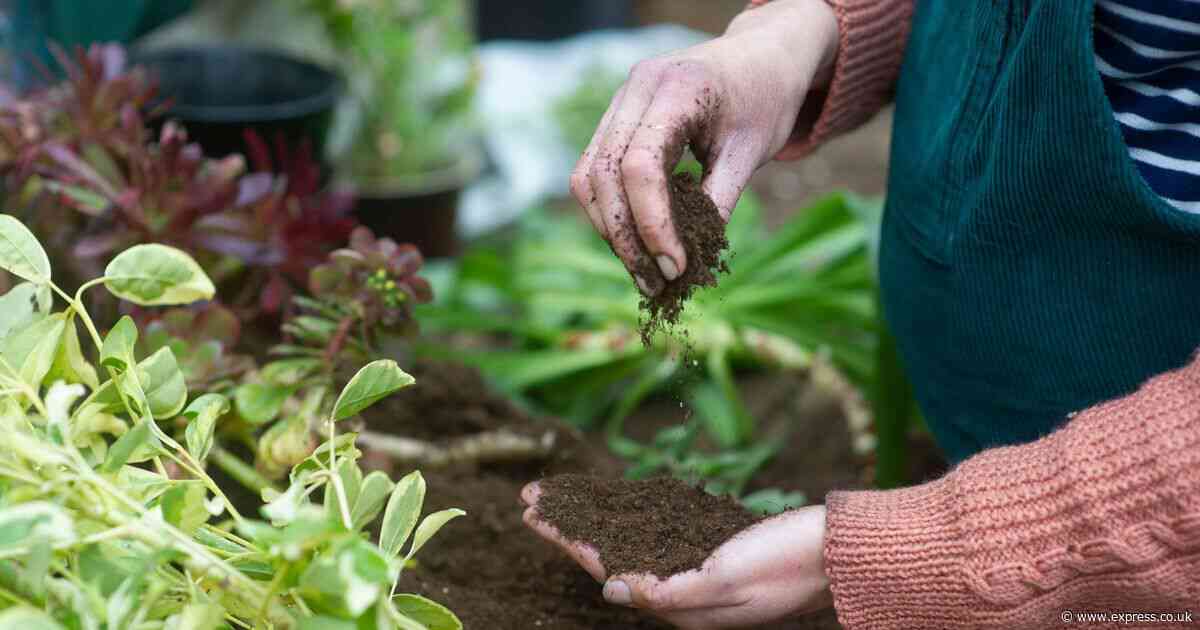 Garden soil will be 'healthier' than ever if you avoid one common method