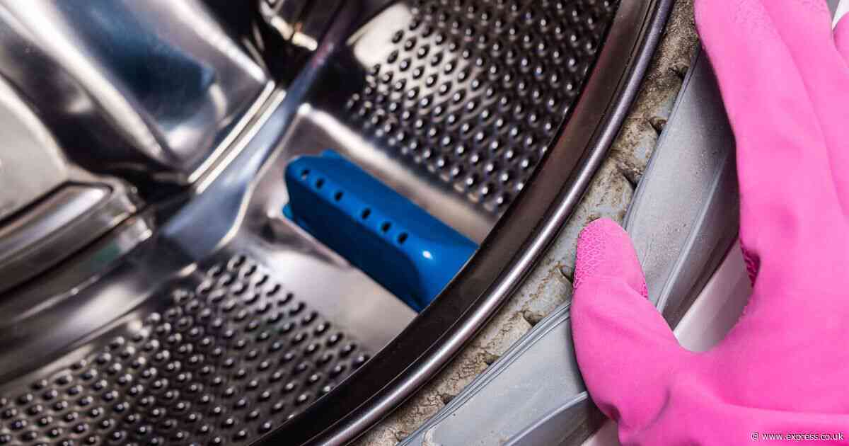 Remove washing machine mould for good in 10 minutes with 1 natural item cleaner swears by