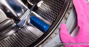 Remove washing machine mould for good in 10 minutes with 1 natural item cleaner swears by