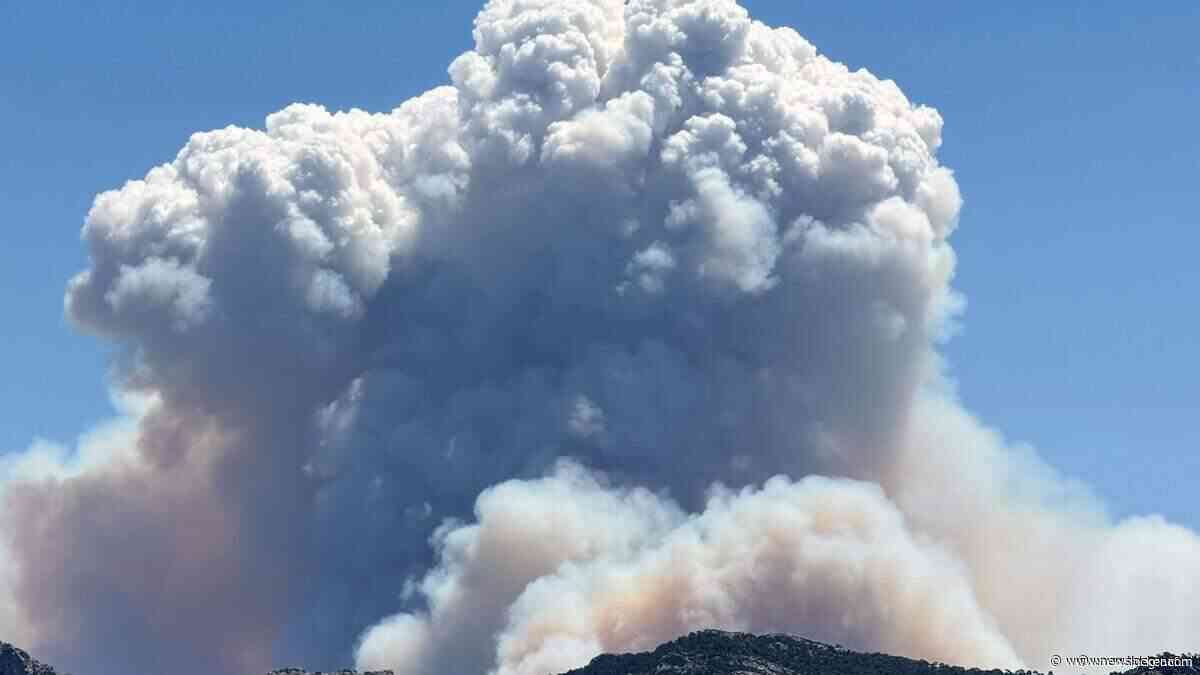 Bosbrand bij Spaanse Tarragona breidt zich verder uit: 2300 hectare getroffen