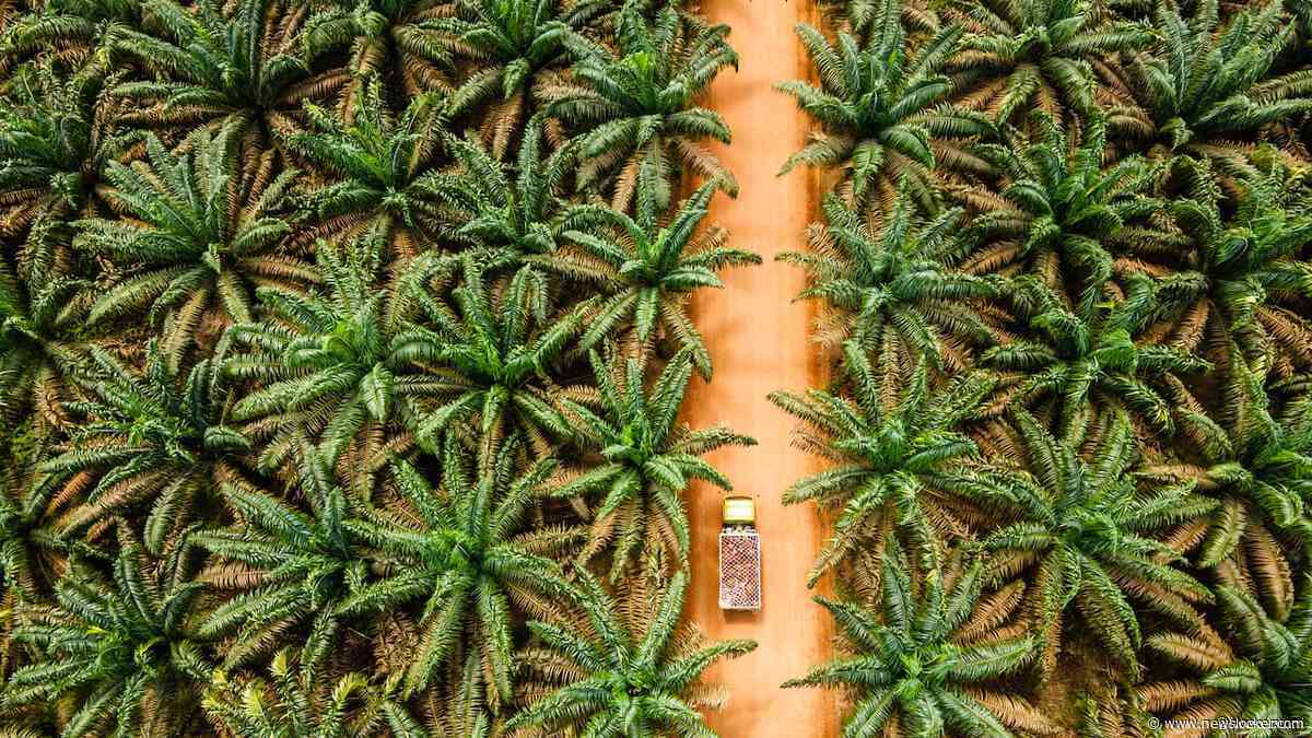 Aziatische landen willen met VS om de tafel na aankondiging van importheffingen
