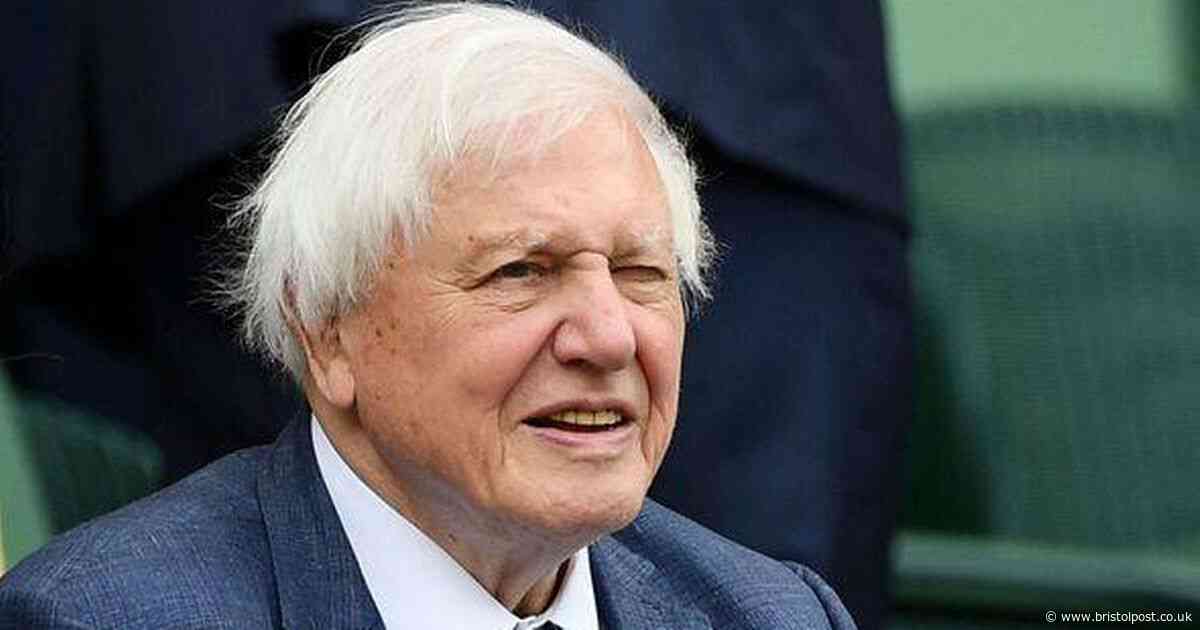 How Sir David Attenborough influenced Wimbledon to change colour of tennis balls