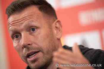 Wales rugby team call in Craig Bellamy as one thing in speech to players hits home