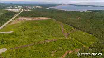 Industrial park expansion in Saint John clears final reading at council