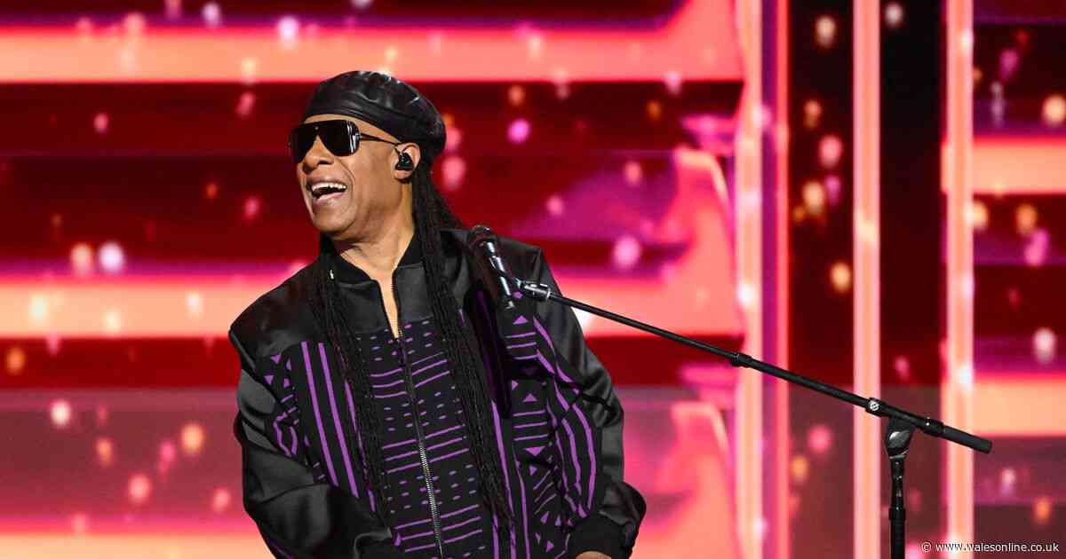 Stevie Wonder at Blackweir banned items and bag size limits