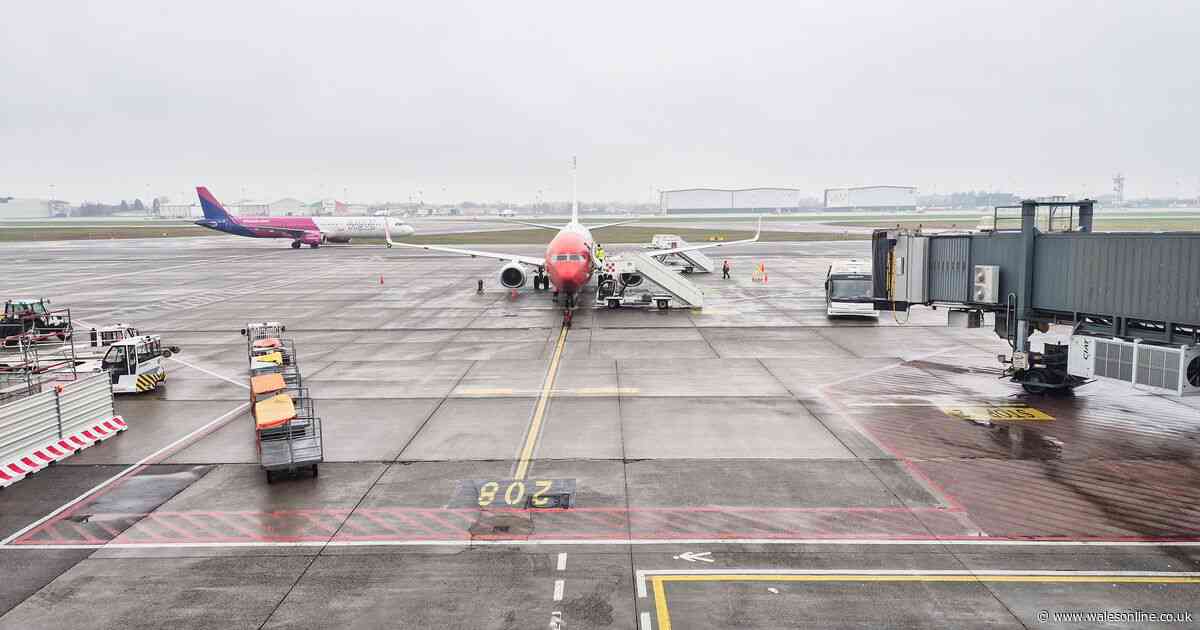 Person 'sucked into plane engine' at airport as all flights suspended amid tragedy