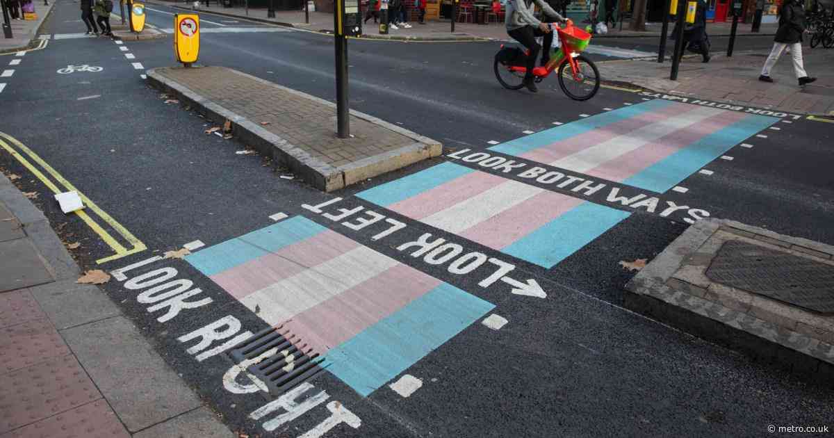 We want dignity – our opponents want trans flag road markings banned
