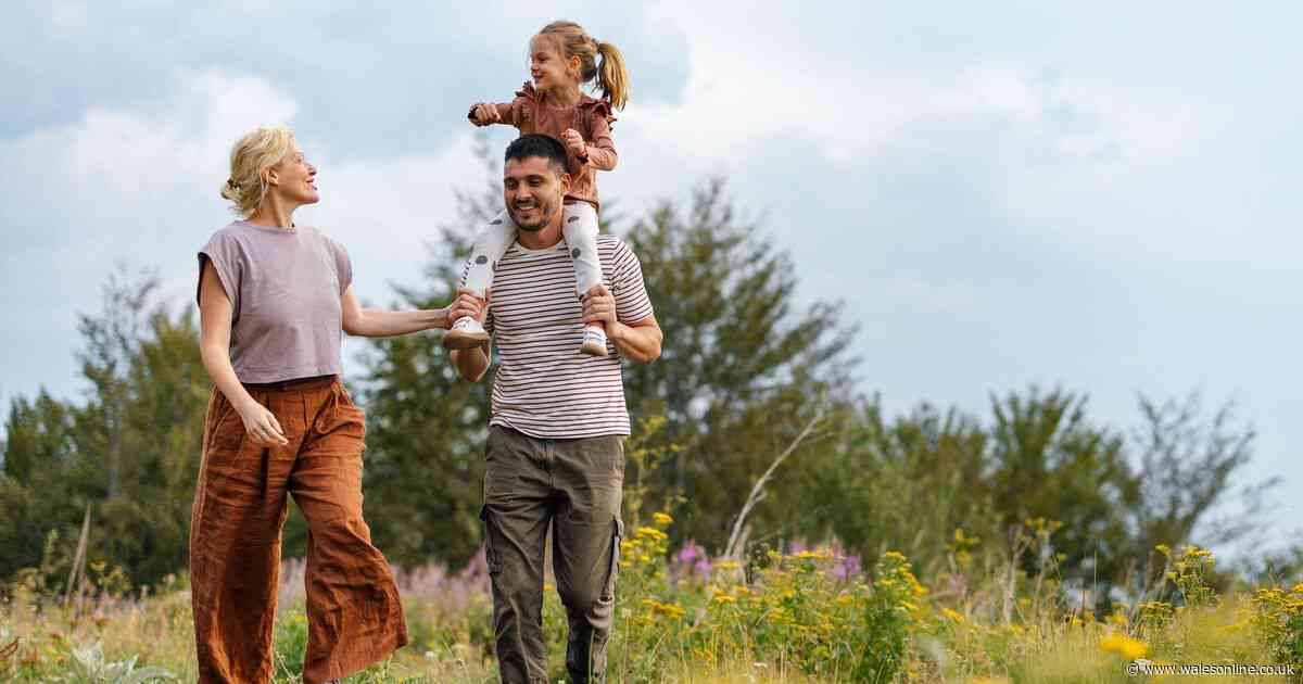 Avoid summer disease by wearing two clothing items UKHSA recommends