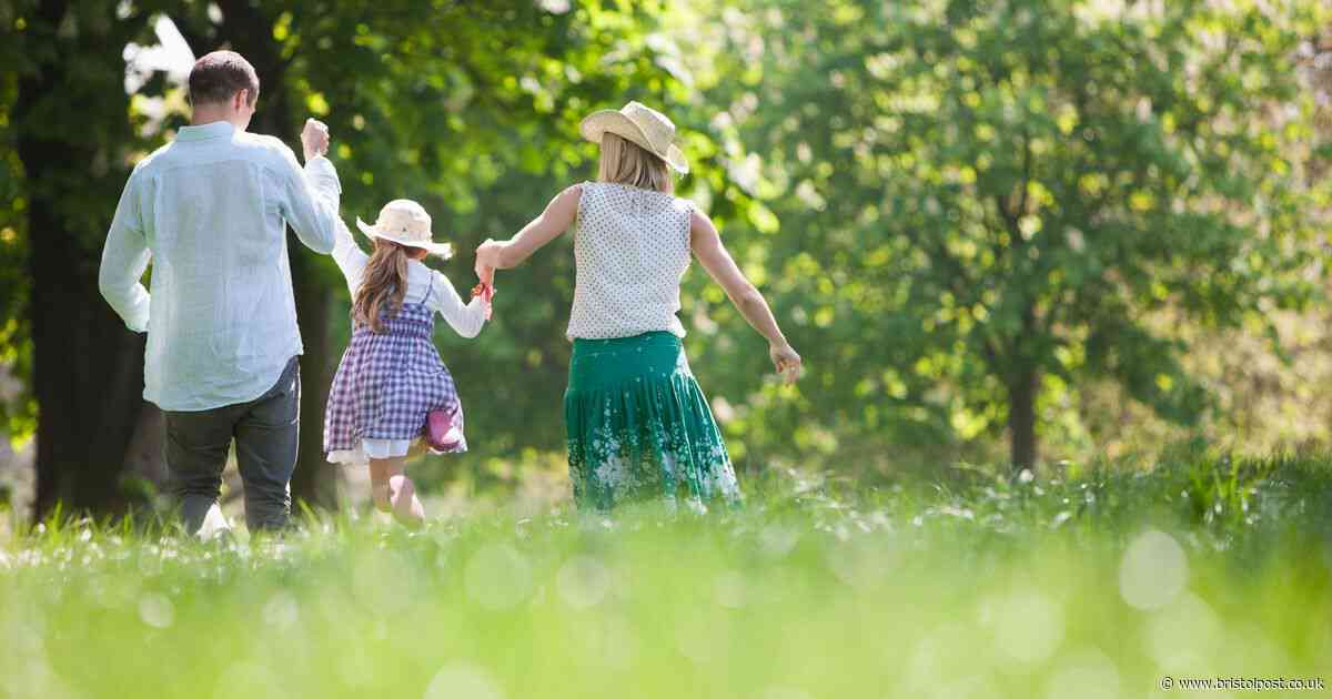 Anyone going for a walk this summer warned they're at risk of disease