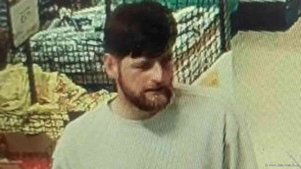 Missing Alex Cairnie: Soldier, 30, seen in new CCTV walking around Tesco - as sergeant issues desperate plea for information