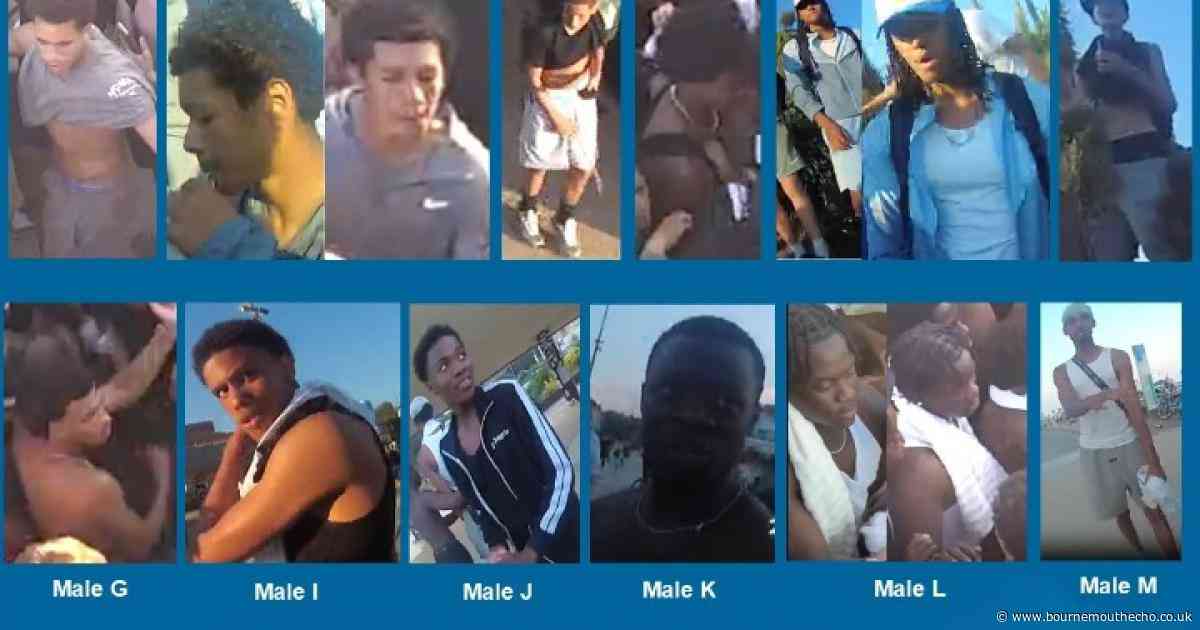 Images of 12 men released after fight which hospitalised teenage girl