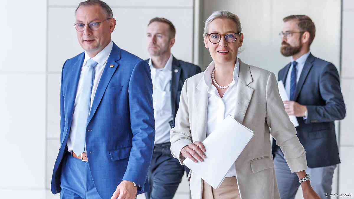 Benimmregeln und Positionspapier: Die Charme-Offensive der AfD ist heiße Luft