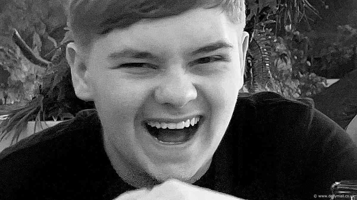 Schoolboy pleaded with classmate to hand over knife 'before you do something stupid' moments before he stabbed Harvey Willgoose, 15, court hears