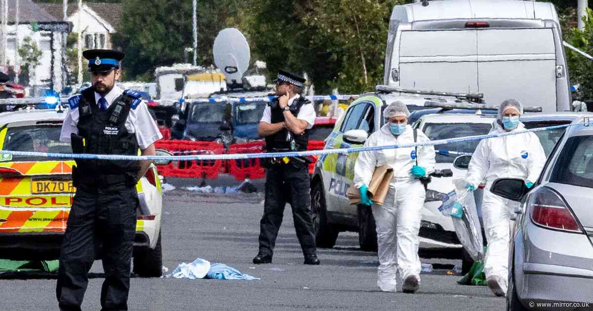 Southport child killer Axel Rudakubana has name banned from public inquiry into tragedy
