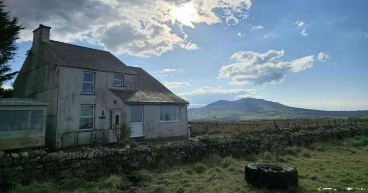 Inside Wales’ most popular houses for sale