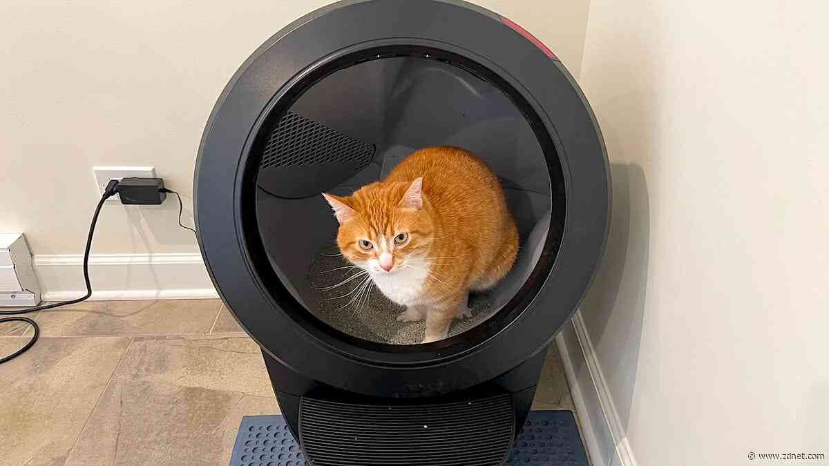 This robot litter box changed my life as a cat owner, and it's discounted for Prime Day