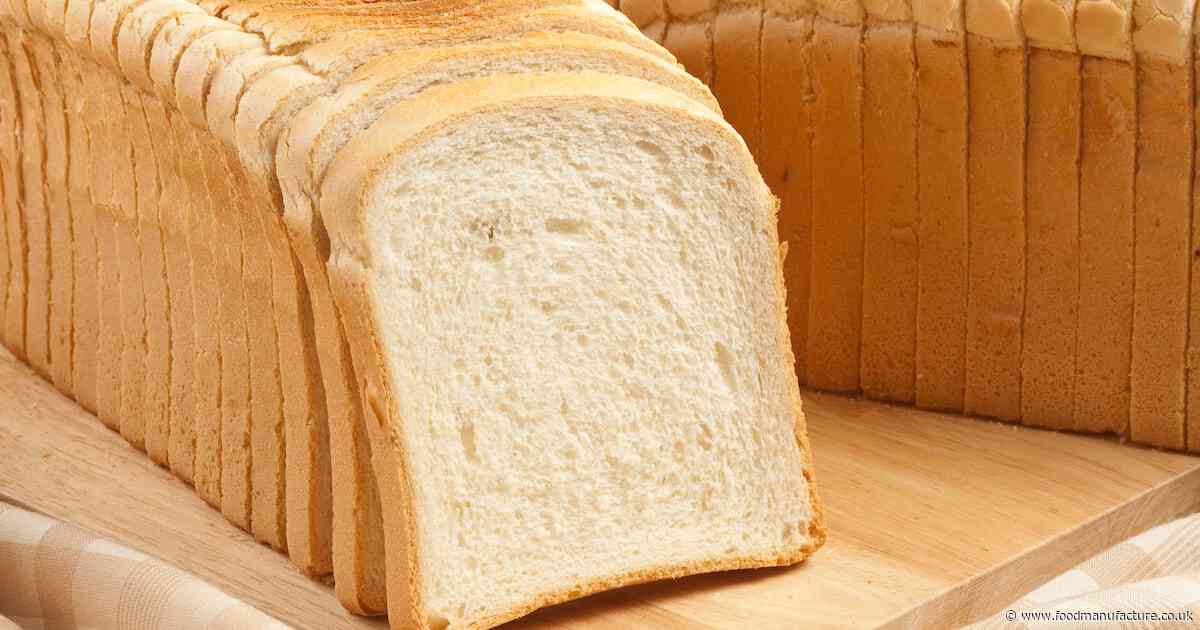 Defatted sunflower seed flour offers ‘promising option’ for enriching bread