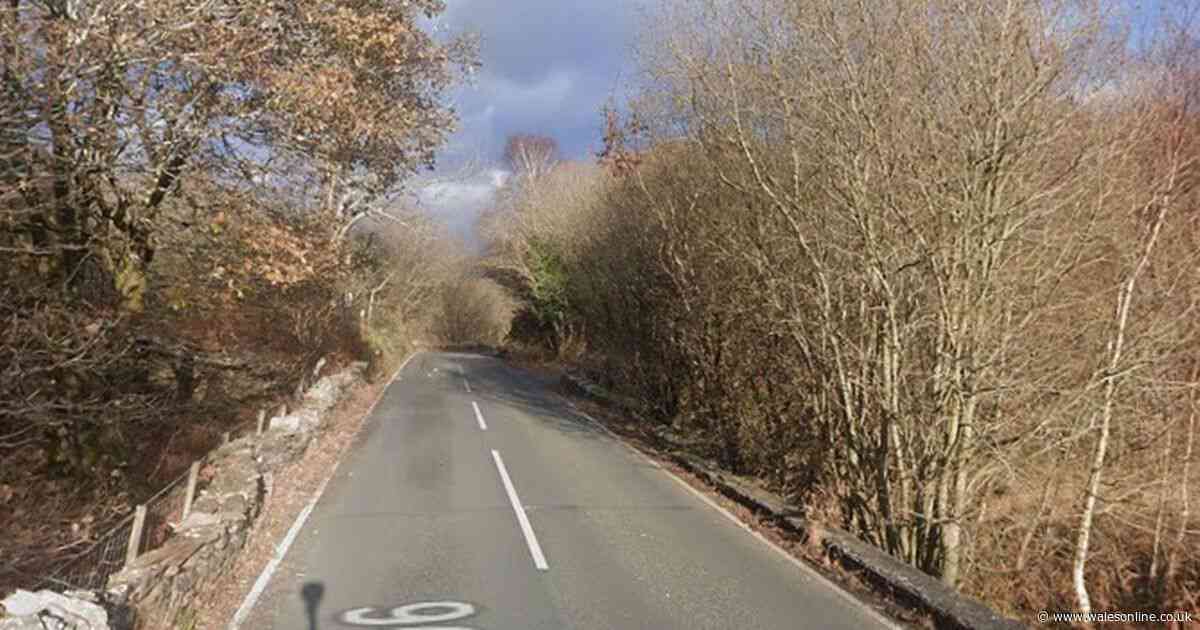 Police close road as woman's body found in woodland