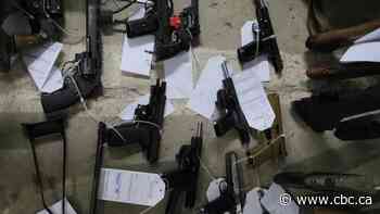 RCMP accuses Quebec-based CAF members of trying to create 'anti-government militia'