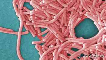 1 dead, over 40 sick as legionnaires' outbreak spreads in southeast London, Ont.