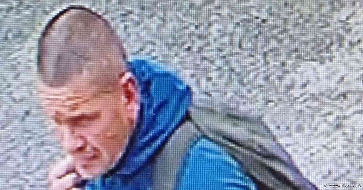 Hunt for man who 'pulled pin from grenade on packed train' as cops release CCTV