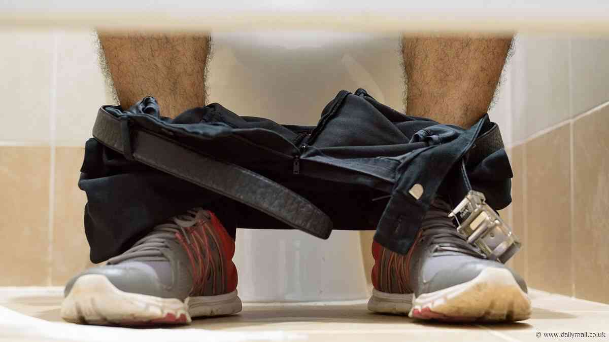 Sit or squat? Scientist reveals why it's actually WORSE to hover over a public toilet
