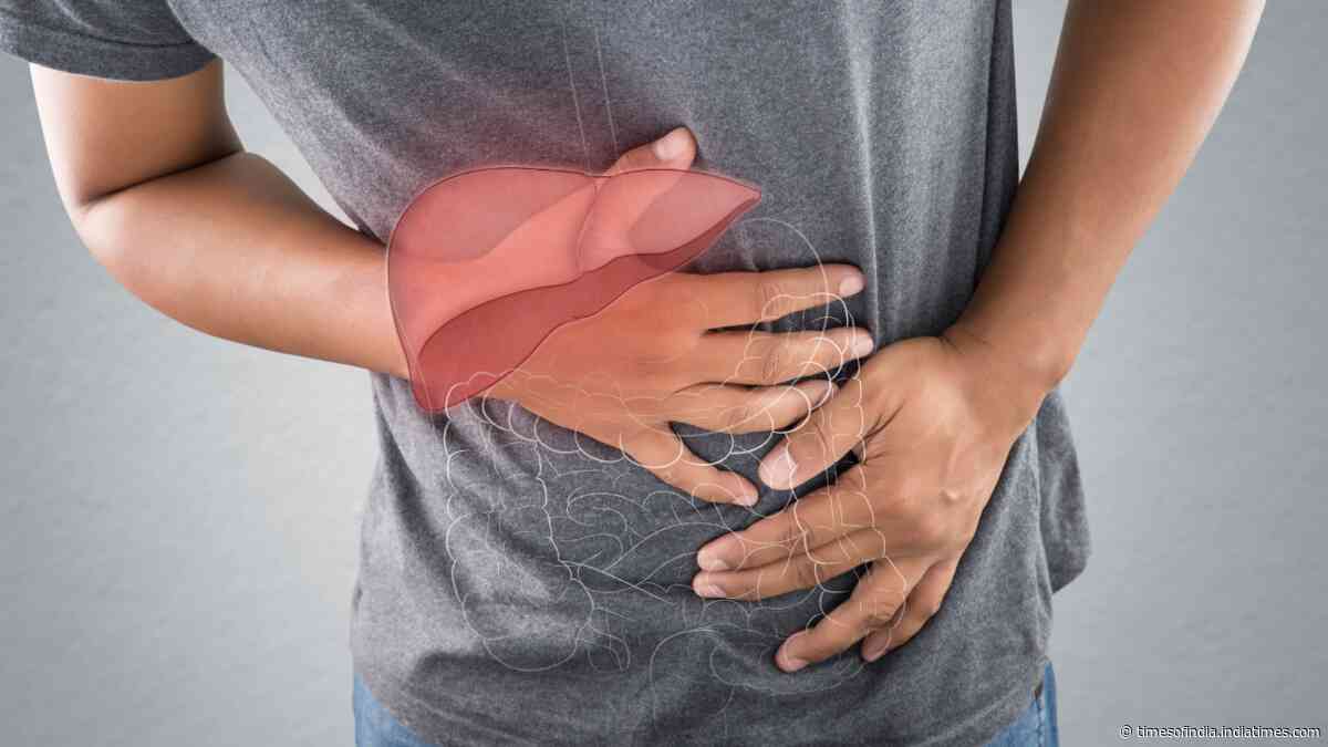 What is the difference between stages of fatty liver: How to reverse them